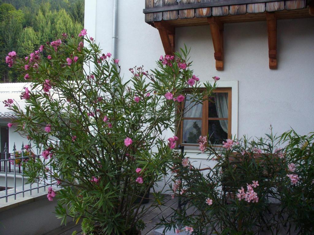 Mitschighof - Apartments Und Pension - Heidis-Welt, Mitschig 헤르마고 객실 사진