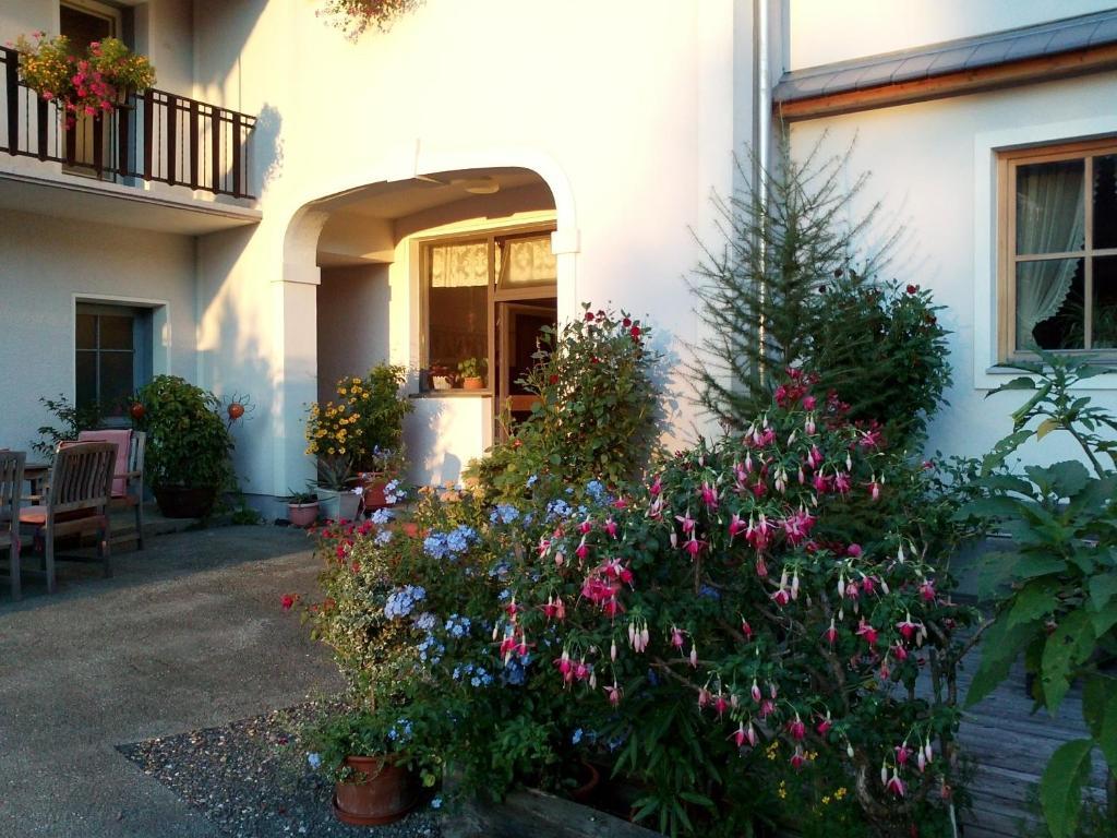 Mitschighof - Apartments Und Pension - Heidis-Welt, Mitschig 헤르마고 외부 사진