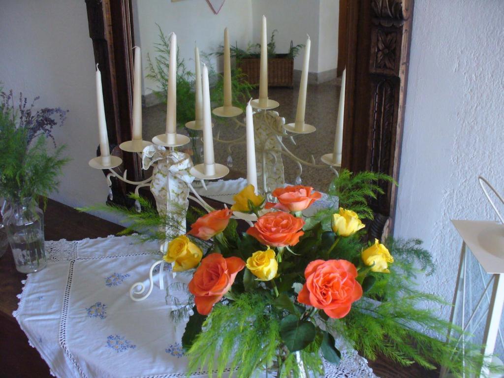 Mitschighof - Apartments Und Pension - Heidis-Welt, Mitschig 헤르마고 외부 사진