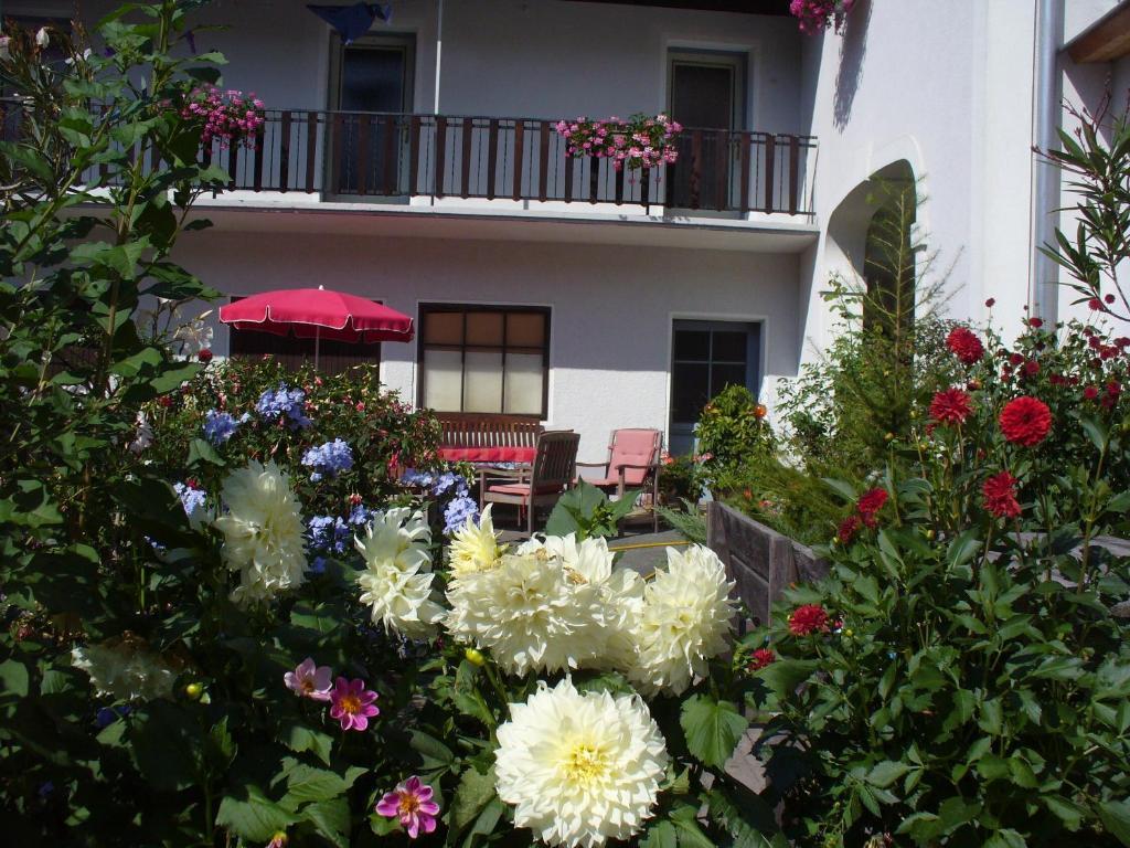 Mitschighof - Apartments Und Pension - Heidis-Welt, Mitschig 헤르마고 외부 사진