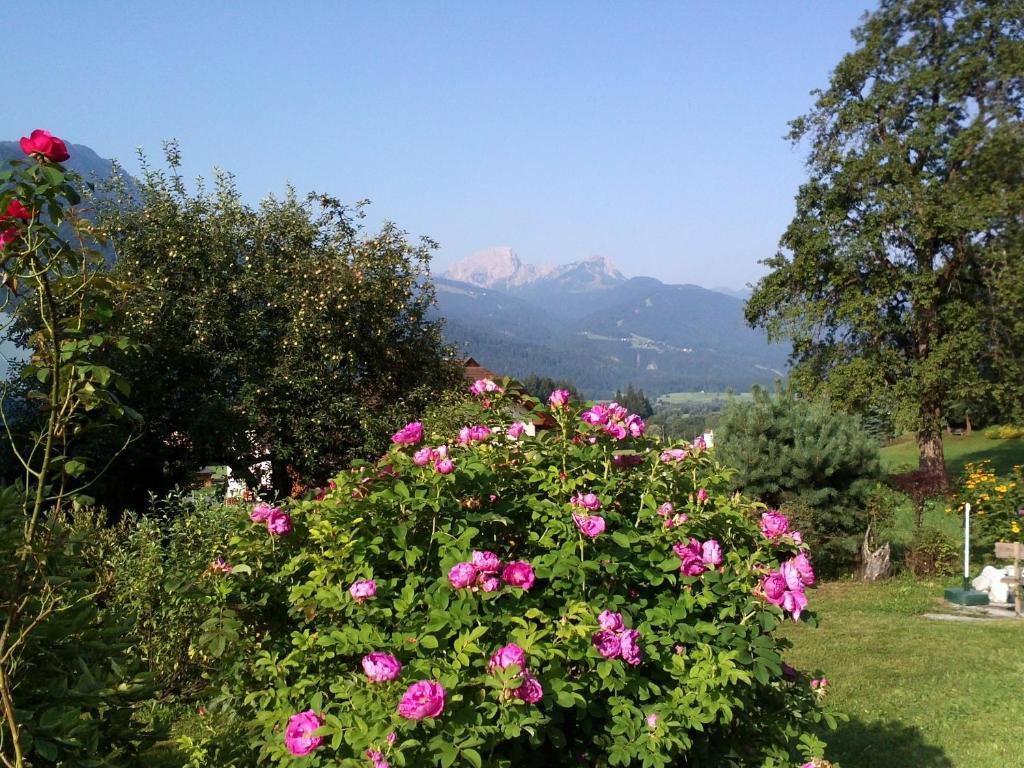 Mitschighof - Apartments Und Pension - Heidis-Welt, Mitschig 헤르마고 외부 사진