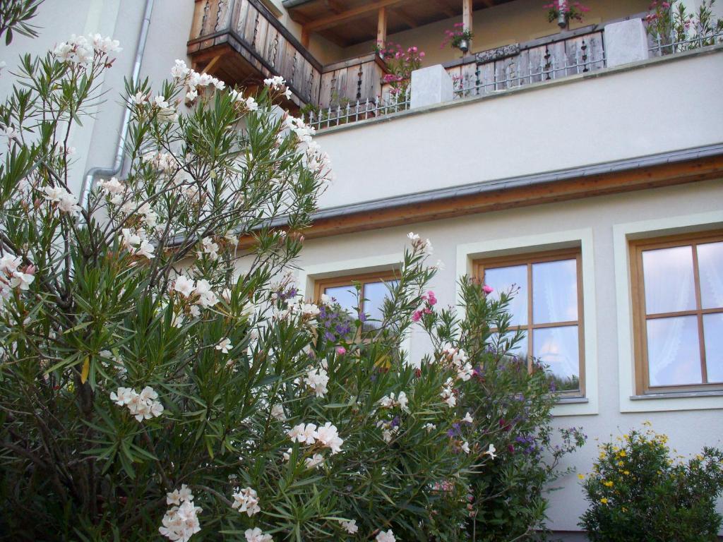 Mitschighof - Apartments Und Pension - Heidis-Welt, Mitschig 헤르마고 외부 사진